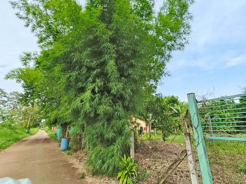 ที่ดินท่าเกษม สระแก้ว, สระแก้ว, ท่าเกษม, เมืองสระแก้ว, สระแก้ว, 467 ตร.ม., ที่ดิน ขาย, โดย The Best Property ยุ, 500472103 - DDproperty.com