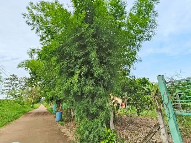 ที่ดินท่าเกษม สระแก้ว, Sa Kaeo, Tha Kasem, Muang Sa Kaeo, Sa Kaeo, , 467 sqm, Land For Sale, by The Best Property ยุ, 500472103 - DDproperty.com