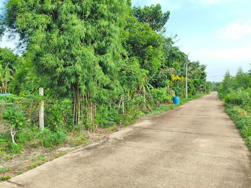 ที่ดินท่าเกษม สระแก้ว, สระแก้ว, ท่าเกษม, เมืองสระแก้ว, สระแก้ว, 467 ตร.ม., ที่ดิน ขาย, โดย The Best Property ยุ, 500472103 - DDproperty.com