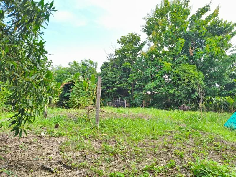 ที่ดินท่าเกษม สระแก้ว, สระแก้ว, ท่าเกษม, เมืองสระแก้ว, สระแก้ว, 467 ตร.ม., ที่ดิน ขาย, โดย The Best Property ยุ, 500472103 - DDproperty.com