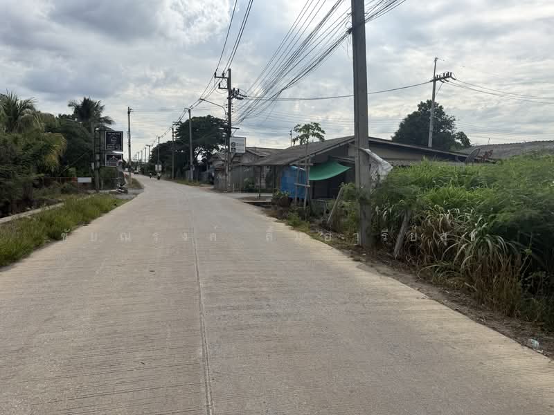 ขายที่ดิน 2 ไร่ ถนนสามพราน 8 ผังสีชมพู ใกล้เพชรเกษม 1.3 กม, Nakhon Pathom, สามพราน 8, Yai Cha, Sam Phran, Nakhon Pathom, , 3,200 sqm, Land For Sale, by ชัยณรงค์ ลิ้มอารีย์สุข, 500472126 - DDproperty.com