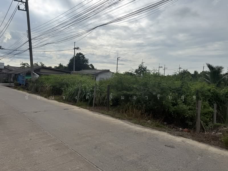 ขายที่ดิน 2 ไร่ ถนนสามพราน 8 ผังสีชมพู ใกล้เพชรเกษม 1.3 กม, Nakhon Pathom, สามพราน 8, Yai Cha, Sam Phran, Nakhon Pathom, , 3,200 sqm, Land For Sale, by ชัยณรงค์ ลิ้มอารีย์สุข, 500472126 - DDproperty.com