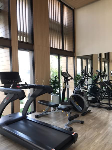 Cocoon Rama 9, Bangkok, Rama 9 Soi 57, Suan Luang, Bangkok, 1 Bedroom, 30 sqm, Condo For Rent, by Praewpakar Soontawong, 500472174 - DDproperty.com