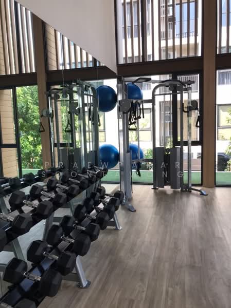 Cocoon Rama 9, Bangkok, Rama 9 Soi 57, Suan Luang, Bangkok, 1 Bedroom, 30 sqm, Condo For Rent, by Praewpakar Soontawong, 500472174 - DDproperty.com