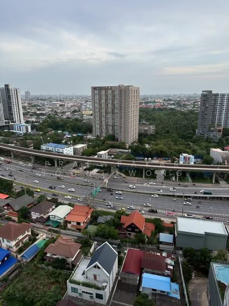 Elio Sathorn-Wutthakat, กรุงเทพ, ถนนกัลปพฤกษ์, บางค้อ, จอมทอง, กรุงเทพ, 31 ตร.ม., คอนโด ให้เช่า, โดย Praewpakar Soontawong, 500472197 - DDproperty.com