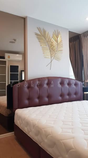 Wynn Condo Phaholyothin 52, Bangkok, 2/282 Soi Phahon Yothin 52, Phahon Yothin Road, Anusaowari, Bang Khen, Bangkok, 2 Bedrooms, 43 sqm, Condo For Rent, by Praewpakar Soontawong, 500472209 - DDproperty.com