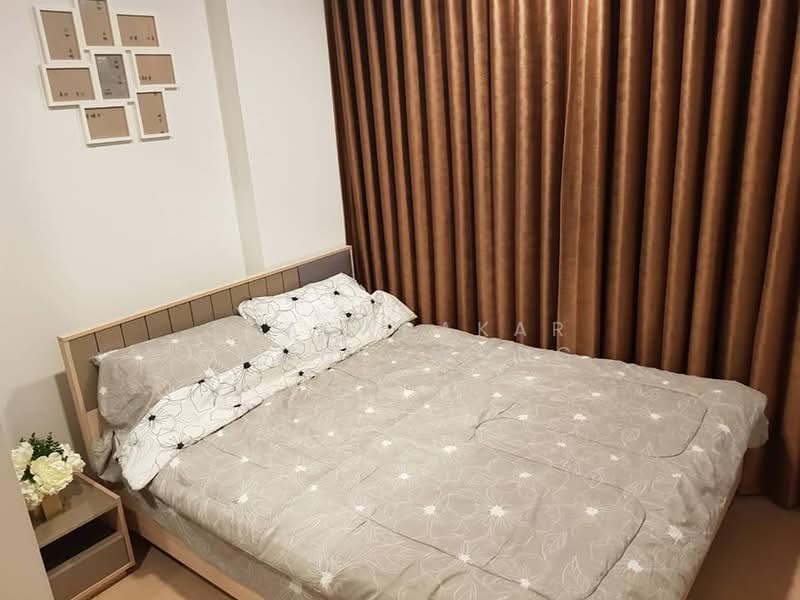 The Tree Sukhumvit 71-Ekamai, Bangkok, 1269 Sukhumvit 71 Road, Suan Luang, Bangkok, 1 Bedroom, 27 sqm, Condo For Rent, by Praewpakar Soontawong, 500472212 - DDproperty.com