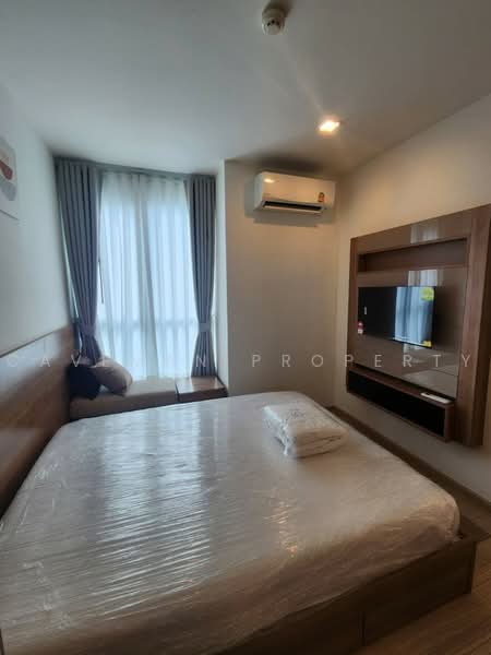Rhythm Sukhumvit 50, Bangkok, 8 Sukhumvit 50, Sukhumvit Road, Phra Kanong, Khlong Toei, Bangkok, 1 Bedroom, 35 sqm, Condo For Rent, by Caveman Property, 500472230 - DDproperty.com