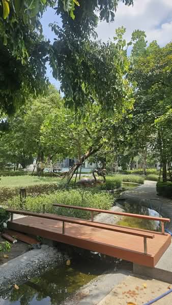undefined, Bangkok, Suan Luang, Bangkok, 3 Bedrooms, 152 sqm, Single Detached House For Sale, by Aphisit Khotudon, 500472248 - DDproperty.com