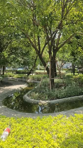 undefined, กรุงเทพ, สวนหลวง, กรุงเทพ, 152 ตร.ม., บ้านเดี่ยว ขาย, โดย Aphisit Khotudon, 500472248 - DDproperty.com