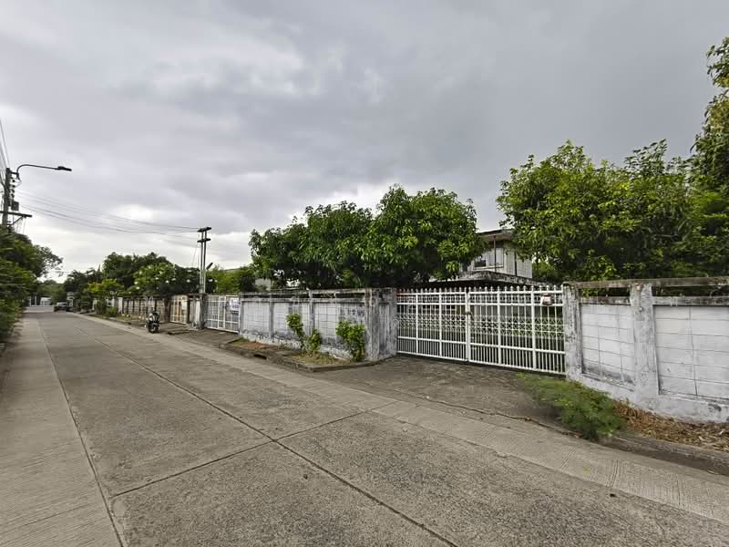 Baan Prachaniwet 2, Nonthaburi, Soi Samakkhi 60/2, Tha-Sai, Muang Nonthaburi, Nonthaburi, 3 Bedrooms, 576 sqm, Single Detached House For Sale, by บริษัท เอชแอล แอสเซท จำกัด, 500472251 - DDproperty.com