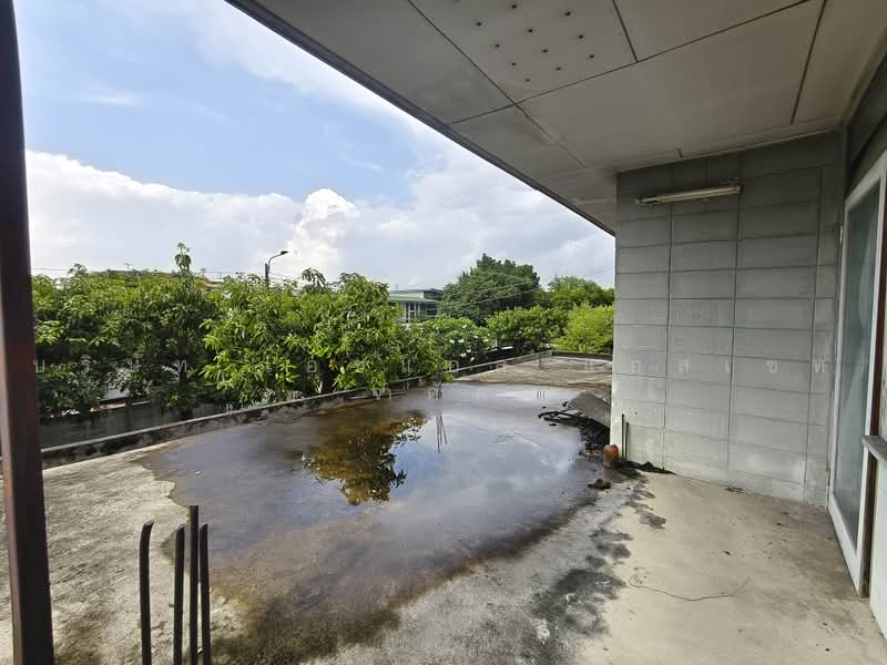 Baan Prachaniwet 2, Nonthaburi, Soi Samakkhi 60/2, Tha-Sai, Muang Nonthaburi, Nonthaburi, 3 Bedrooms, 576 sqm, Single Detached House For Sale, by บริษัท เอชแอล แอสเซท จำกัด, 500472251 - DDproperty.com