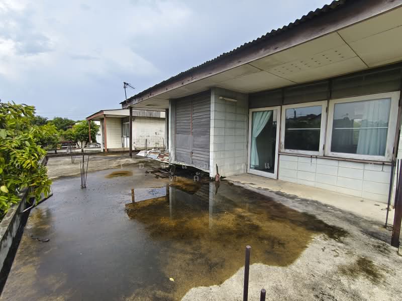 Baan Prachaniwet 2, Nonthaburi, Soi Samakkhi 60/2, Tha-Sai, Muang Nonthaburi, Nonthaburi, 3 Bedrooms, 576 sqm, Single Detached House For Sale, by บริษัท เอชแอล แอสเซท จำกัด, 500472251 - DDproperty.com