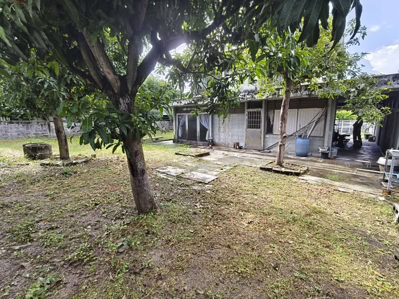 Baan Prachaniwet 2, Nonthaburi, Soi Samakkhi 60/2, Tha-Sai, Muang Nonthaburi, Nonthaburi, 3 Bedrooms, 576 sqm, Single Detached House For Sale, by บริษัท เอชแอล แอสเซท จำกัด, 500472251 - DDproperty.com