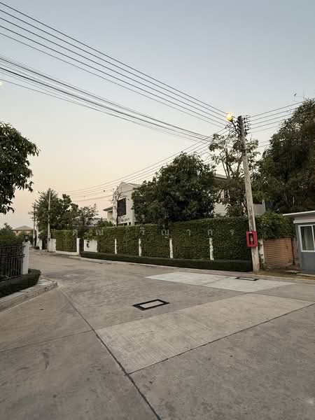 Burasiri Rangsit, Pathum Thani, Rangsit-Pathum Thani Road, Suan Pring Thai, Muang Pathum Thani, Pathum Thani, 5 Bedrooms, 745 sqm, Single Detached House For Sale, by คุณ วิญากร, 500472255 - DDproperty.com