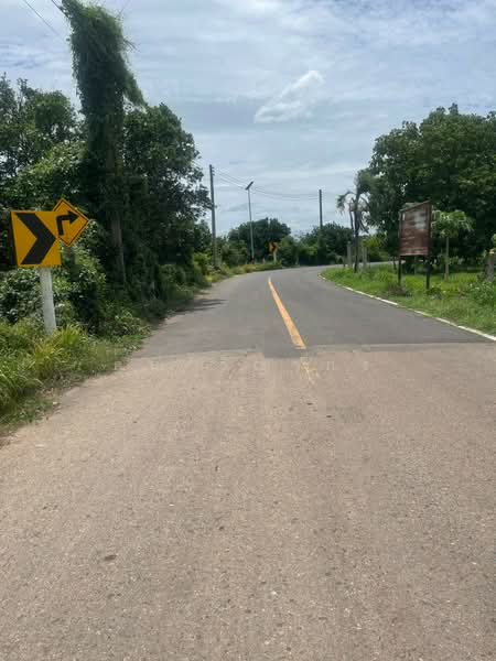 ขายสวนส้มโอ 10 ไร่ 1 งาน ศรีมหาโพธิ จ.ปราจีนบุรี สวนพร้อมสร้างรายได้ ใกล้นิคมอุตสาหกรรม 304 เพียง 5, Prachin Buri, Sri Maha Pho, Prachin Buri, , 16,400 sqm, Land For Sale, by คุณ วิญากร, 500472267 - DDproperty.com