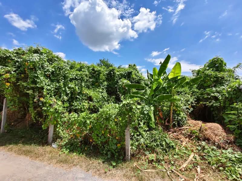หนองอ้อ, Ratchaburi, Nong O, Ban Pong, Ratchaburi, , 846 sqm, Land For Sale, by ชญาพิชชา พันธกิจ, 500472274 - DDproperty.com