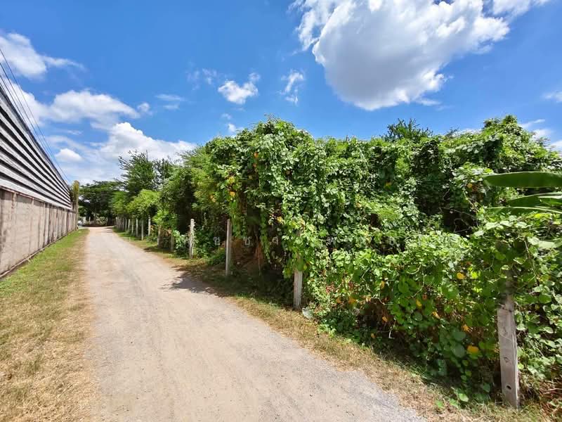 หนองอ้อ, Ratchaburi, Nong O, Ban Pong, Ratchaburi, , 846 sqm, Land For Sale, by ชญาพิชชา พันธกิจ, 500472274 - DDproperty.com