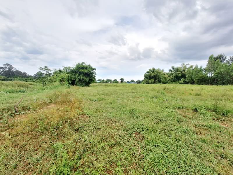 ขายที่ดิน 12+ ไร่ ติดถนนหลวง มัญจาคีรี ขอนแก่น, ขอนแก่น, ท่าศาลา, มัญจาคีรี, ขอนแก่น, 20,464 ตร.ม., ที่ดิน ขาย, โดย วีรภัทรา ดาร์เปอร์, 500472280 - DDproperty.com