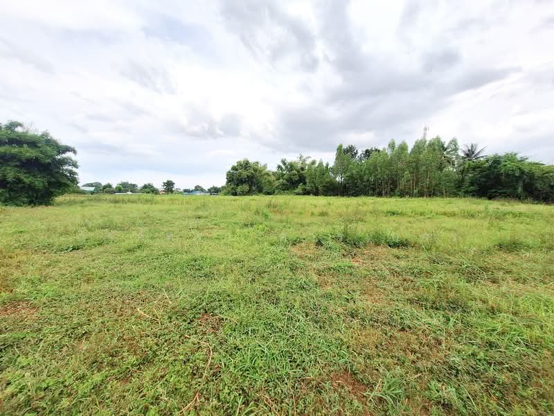 12+ Rai Land For Sale On Highway, Mancha Khiri, Khon Kaen, Tha Sala, Mancha Khiri, Khon Kaen, , 20,464 sqm, Land For Sale, by วีรภัทรา ดาร์เปอร์, 500472280 - DDproperty.com