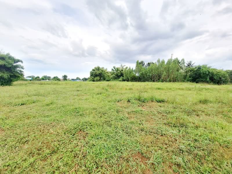 12+ Rai Land For Sale On Highway, Mancha Khiri, Khon Kaen, Tha Sala, Mancha Khiri, Khon Kaen, , 20,464 sqm, Land For Sale, by วีรภัทรา ดาร์เปอร์, 500472280 - DDproperty.com