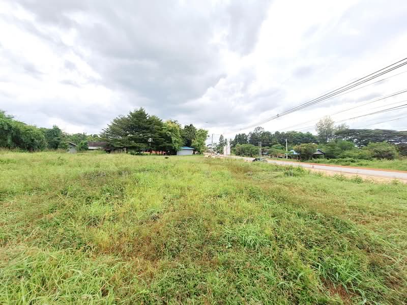 12+ Rai Land For Sale On Highway, Mancha Khiri, Khon Kaen, Tha Sala, Mancha Khiri, Khon Kaen, , 20,464 sqm, Land For Sale, by วีรภัทรา ดาร์เปอร์, 500472280 - DDproperty.com