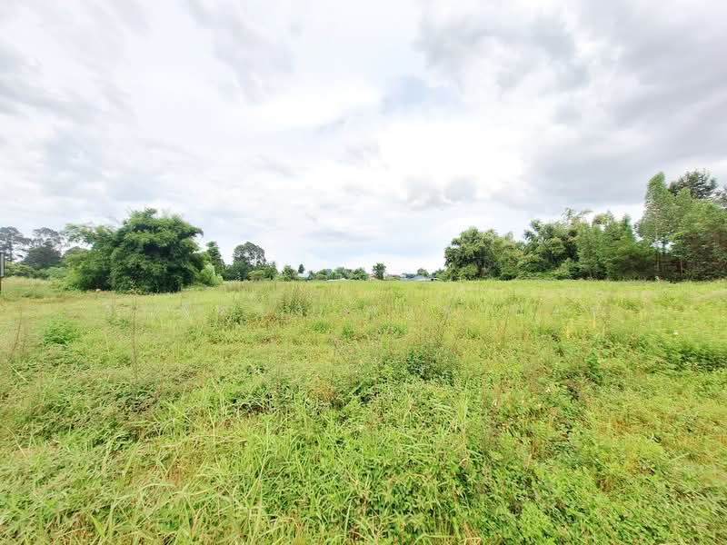 12+ Rai Land For Sale On Highway, Mancha Khiri, Khon Kaen, Tha Sala, Mancha Khiri, Khon Kaen, , 20,464 sqm, Land For Sale, by วีรภัทรา ดาร์เปอร์, 500472280 - DDproperty.com