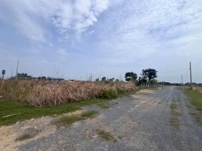 ขาย - พะเนียด, นครปฐม