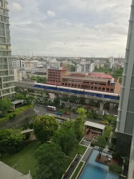 IDEO MOBI Sukhumvit 81 : ไอดีโอ โมบิ สุขุมวิท 81, กรุงเทพ, 2097 ถนนสุขุมวิท แขวงบางจาก เขตพระโขนง กรุงเทพมหานคร, บางจาก, พระโขนง, กรุงเทพ, 23 ตร.ม., คอนโด ให้เช่า, โดย Praewpakar Soontawong, 500472309 - DDproperty.com