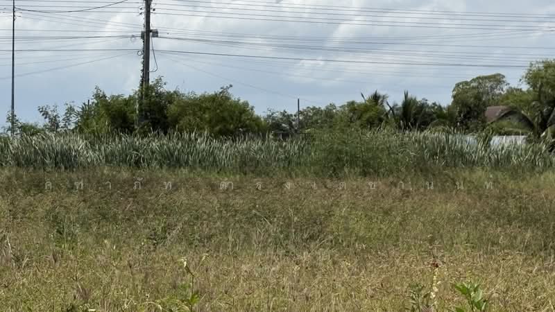 บ้านใหม่, Nonthaburi, Ban Mai, Bang Yai, Nonthaburi, , 1,600 sqm, Land For Sale, by คฑาภัท ดำรงเตชานนท์, 500472310 - DDproperty.com