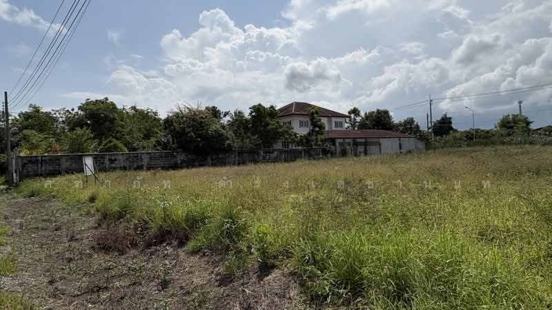 บ้านใหม่, Nonthaburi, Ban Mai, Bang Yai, Nonthaburi, , 1,600 sqm, Land For Sale, by คฑาภัท ดำรงเตชานนท์, 500472310 - DDproperty.com