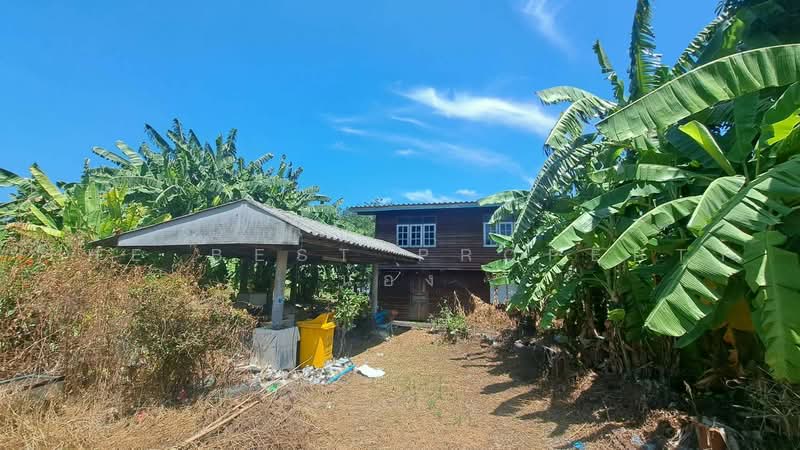 บ้านเดี่ยวบางพลี สมุทรปราการ, สมุทรปราการ, บางพลีใหญ่, บางพลี, สมุทรปราการ, 150 ตร.ม., บ้านเดี่ยว ขาย, โดย The Best Property น้อง, 500472328 - DDproperty.com