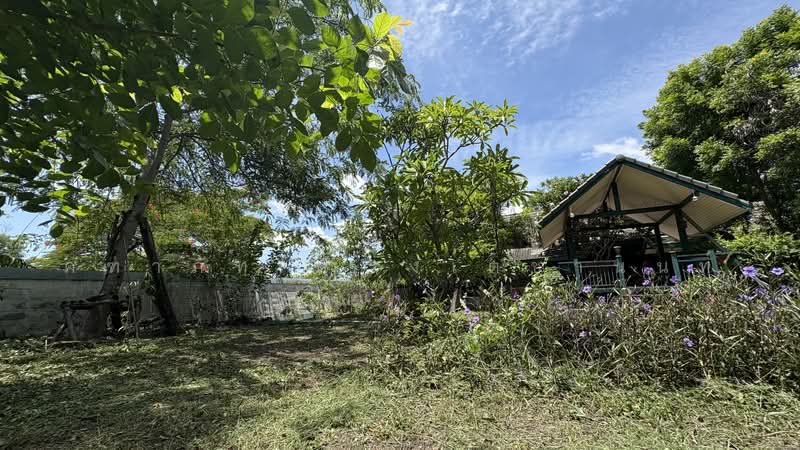 ไทรใหญ่, Nonthaburi, Sai Yai, Sai Noi, Nonthaburi, , 1,360 sqm, Land For Sale, by คฑาภัท ดำรงเตชานนท์, 500472334 - DDproperty.com