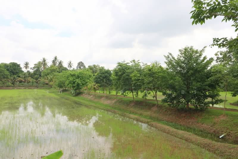 32+ Rai Land with Home & Rare Rosewood Trees for Sale in Nong Khai, Nong Khai, Sra Khrai, Nong Khai, , 51,812 sqm, Land For Sale, by วีรภัทรา ดาร์เปอร์, 500472363 - DDproperty.com