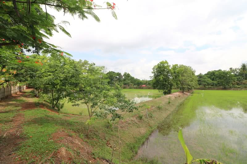 32+ Rai Land with Home & Rare Rosewood Trees for Sale in Nong Khai, Nong Khai, Sra Khrai, Nong Khai, , 51,812 sqm, Land For Sale, by วีรภัทรา ดาร์เปอร์, 500472363 - DDproperty.com