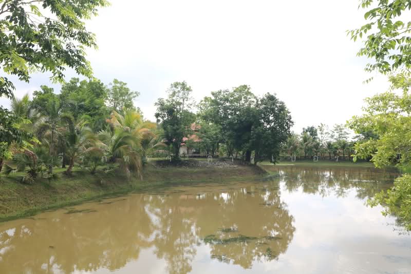 32+ Rai Land with Home & Rare Rosewood Trees for Sale in Nong Khai, Nong Khai, Sra Khrai, Nong Khai, , 51,812 sqm, Land For Sale, by วีรภัทรา ดาร์เปอร์, 500472363 - DDproperty.com