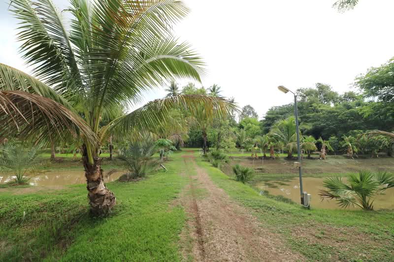 32+ Rai Land with Home & Rare Rosewood Trees for Sale in Nong Khai, Nong Khai, Sra Khrai, Nong Khai, , 51,812 sqm, Land For Sale, by วีรภัทรา ดาร์เปอร์, 500472363 - DDproperty.com