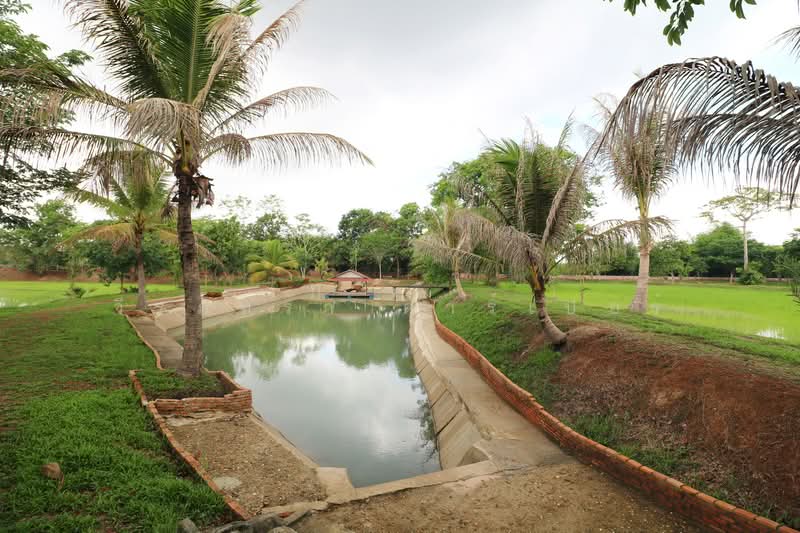 32+ Rai Land with Home & Rare Rosewood Trees for Sale in Nong Khai, Nong Khai, Sra Khrai, Nong Khai, , 51,812 sqm, Land For Sale, by วีรภัทรา ดาร์เปอร์, 500472363 - DDproperty.com