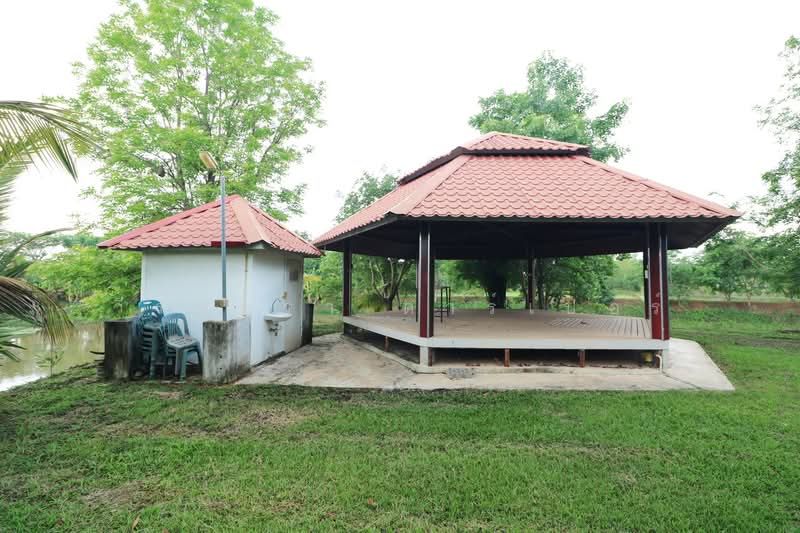 32+ Rai Land with Home & Rare Rosewood Trees for Sale in Nong Khai, Nong Khai, Sra Khrai, Nong Khai, , 51,812 sqm, Land For Sale, by วีรภัทรา ดาร์เปอร์, 500472363 - DDproperty.com