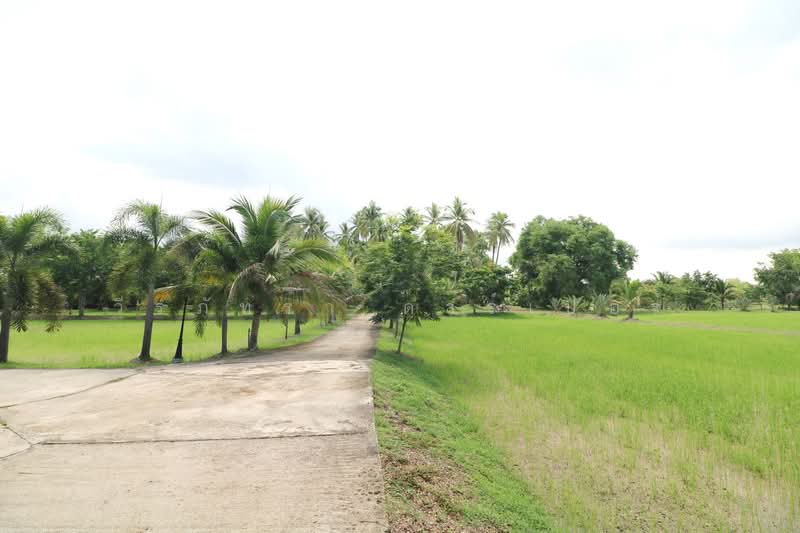 32+ Rai Land with Home & Rare Rosewood Trees for Sale in Nong Khai, Nong Khai, Sra Khrai, Nong Khai, , 51,812 sqm, Land For Sale, by วีรภัทรา ดาร์เปอร์, 500472363 - DDproperty.com