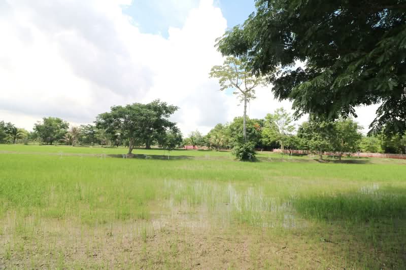 32+ Rai Land with Home & Rare Rosewood Trees for Sale in Nong Khai, Nong Khai, Sra Khrai, Nong Khai, , 51,812 sqm, Land For Sale, by วีรภัทรา ดาร์เปอร์, 500472363 - DDproperty.com