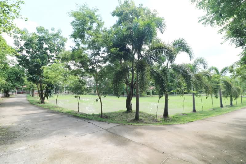 ขายที่ดิน 32+ ไร่ พร้อมบ้านและต้นพะยูง หนองคาย, หนองคาย, สระใคร, หนองคาย, 51,812 ตร.ม., ที่ดิน ขาย, โดย วีรภัทรา ดาร์เปอร์, 500472363 - DDproperty.com