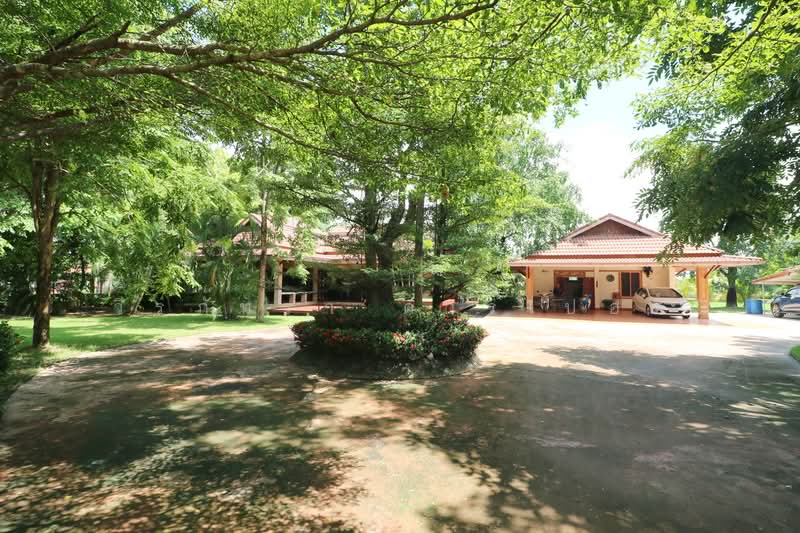 32+ Rai Land with Home & Rare Rosewood Trees for Sale in Nong Khai, Nong Khai, Sra Khrai, Nong Khai, , 51,812 sqm, Land For Sale, by วีรภัทรา ดาร์เปอร์, 500472363 - DDproperty.com