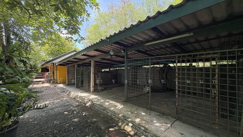 ไทรใหญ่, Nonthaburi, Sai Yai, Sai Noi, Nonthaburi, , 1,520 sqm, Land For Sale, by คฑาภัท ดำรงเตชานนท์, 500472364 - DDproperty.com