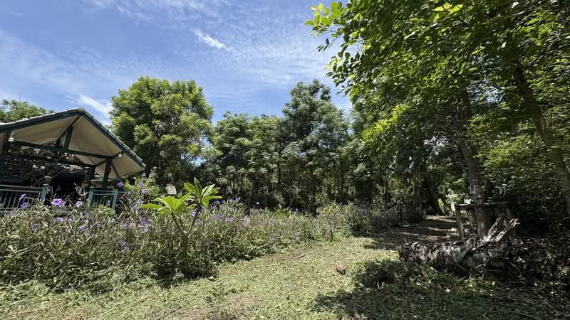 ไทรใหญ่, Nonthaburi, Sai Yai, Sai Noi, Nonthaburi, , 1,520 sqm, Land For Sale, by คฑาภัท ดำรงเตชานนท์, 500472364 - DDproperty.com