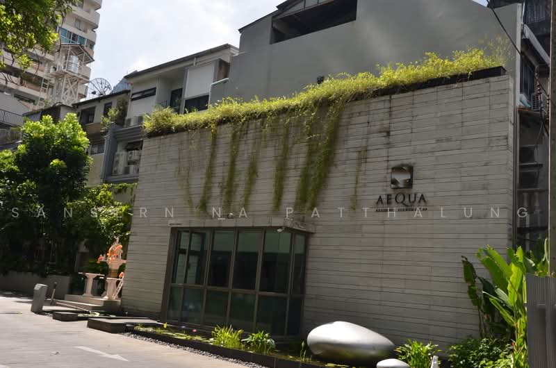 Aequa Sukhumvit 49, Bangkok, Soi Sukhumvit 49, Sukhumvit Road, Khlong Tan Nua, Watthana, Bangkok, 1 Bedroom, 52 sqm, Condo For Rent, by Sansern Na Patthalung, 500472377 - DDproperty.com