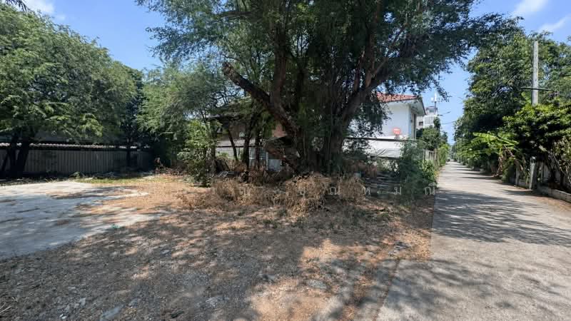 สังคมสงเคราะห์ 16, Bangkok, Lat Phrao, Bangkok, , 604 sqm, Land For Sale, by กษิกาญ ชุณหมณี, 500472390 - DDproperty.com