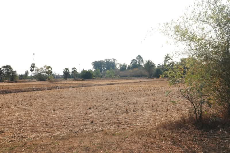 21 Rai Land for Sale Within 3 Km of Phen City, Udon Thani, Phen, Udon Thani, , 33,952 sqm, Land For Sale, by วีรภัทรา ดาร์เปอร์, 500472466 - DDproperty.com
