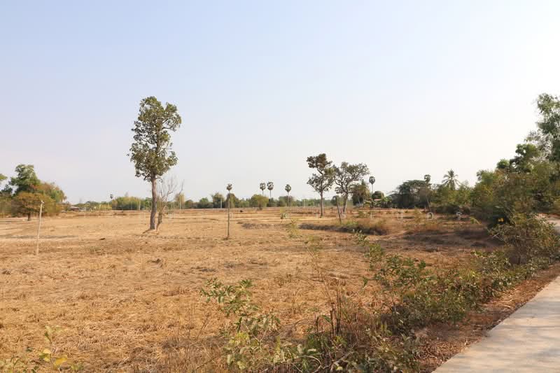 21 Rai Land for Sale Within 3 Km of Phen City, Udon Thani, Phen, Udon Thani, , 33,952 sqm, Land For Sale, by วีรภัทรา ดาร์เปอร์, 500472466 - DDproperty.com