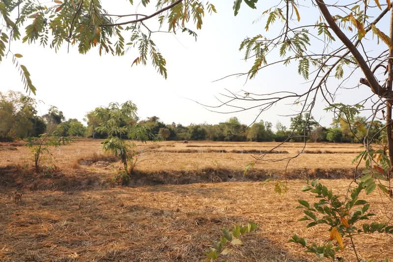 21 Rai Land for Sale Within 3 Km of Phen City, Udon Thani, Phen, Udon Thani, , 33,952 sqm, Land For Sale, by วีรภัทรา ดาร์เปอร์, 500472466 - DDproperty.com